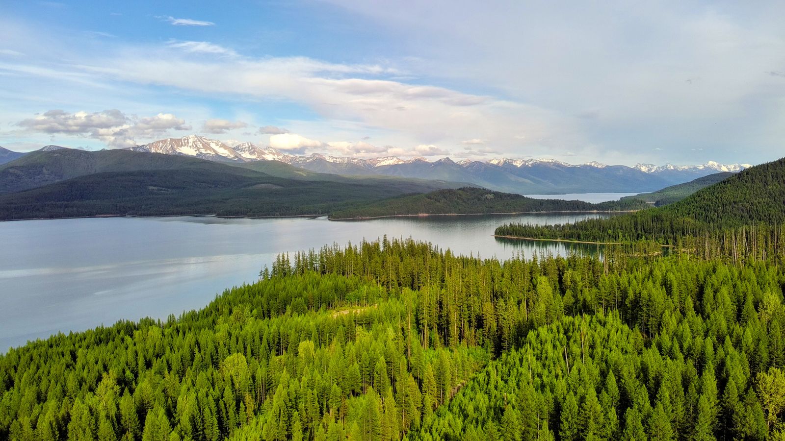 Aerial view of forest, lake, and snow-capped mountains in the Flathead Valley near Kalispell, Montana